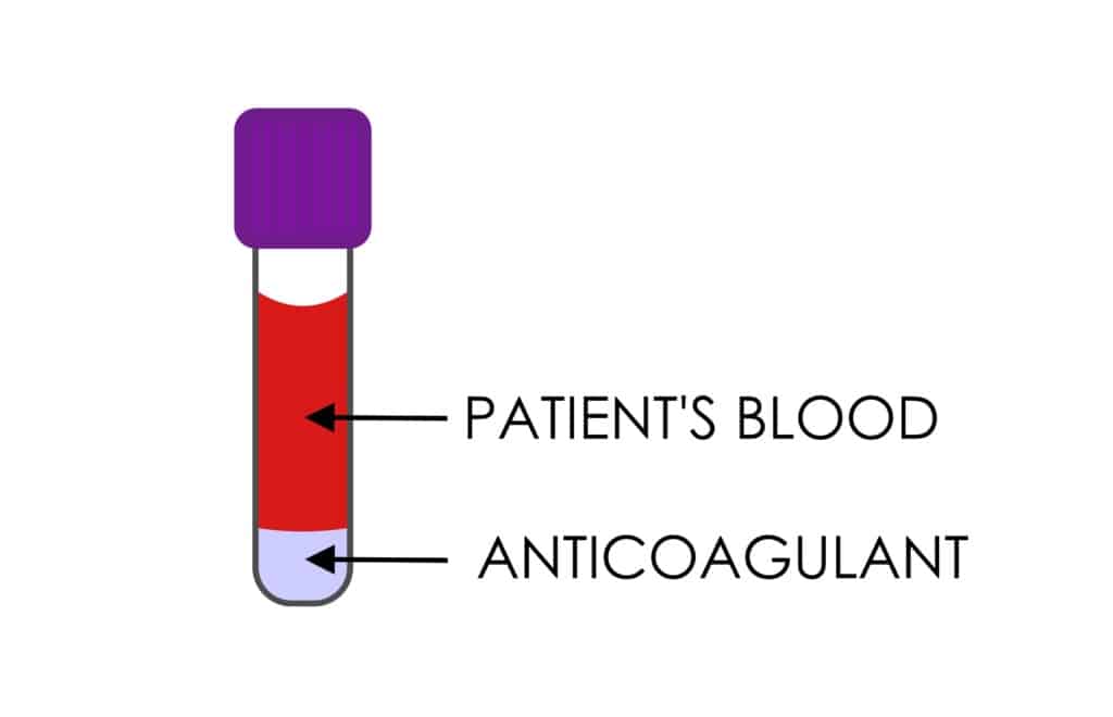 patients blood