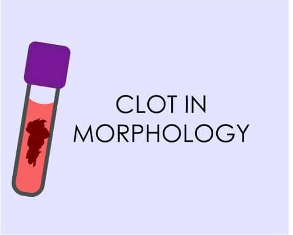 Clot in morphology